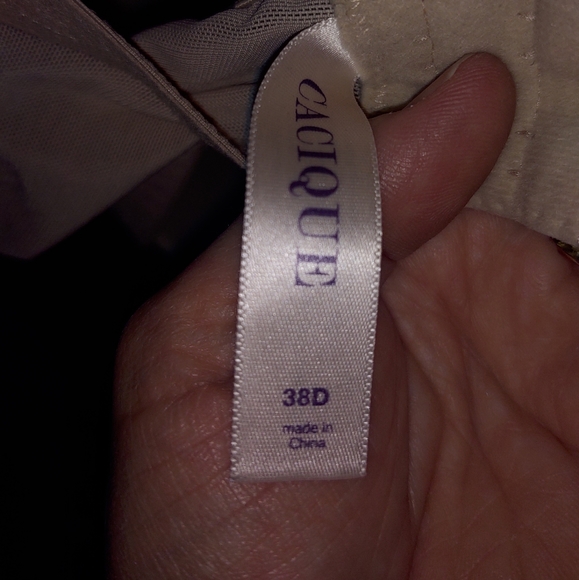Discontinued Cacique Lane Bryant Cooling bra Size 38D - Picture 4 of 4